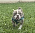 Oscar photo 3