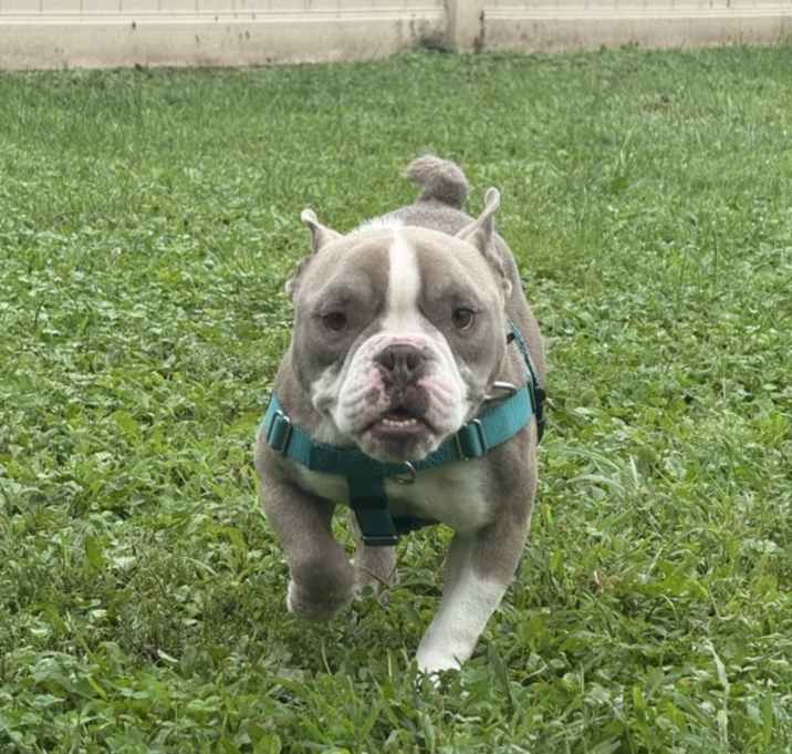 Oscar photo 3