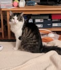 Xander (in Foster) photo 2