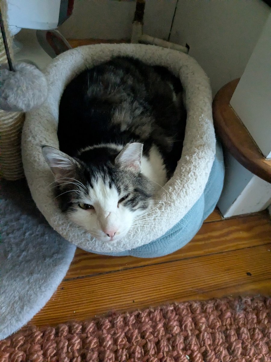 Xander (in Foster) photo 3