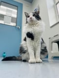 Xander (in Foster) photo 8